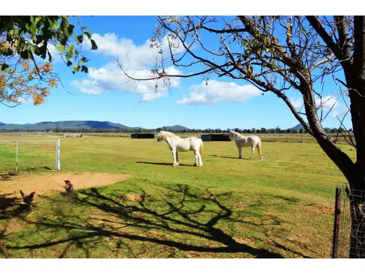 Third view of Homely rural property listing, 187 Quia Road, Gunnedah NSW 2380
