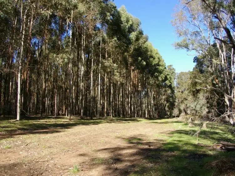 Sixth view of Homely rural property listing, 2895 Barrabup Road, Nannup WA 6275