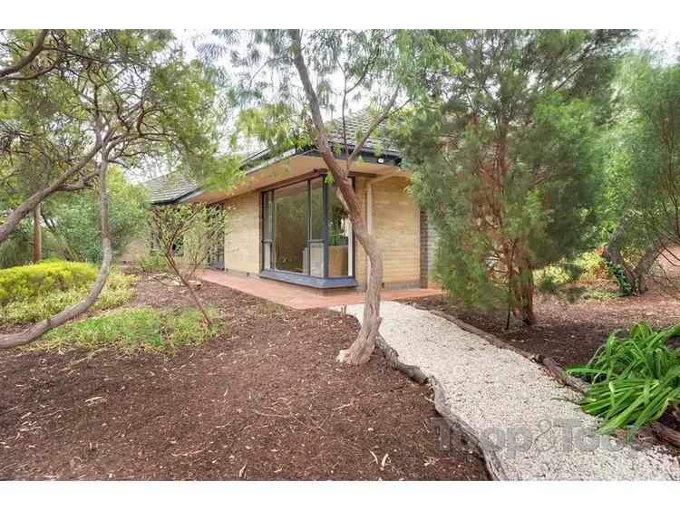 Second view of Homely house listing, 31 Thirkell Avenue, Beaumont SA 5066