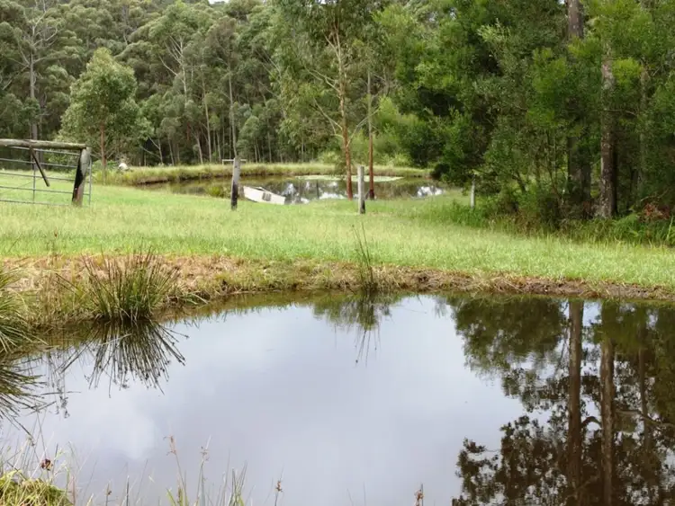 Fifth view of Homely rural property listing, 40 Willinga Road, Bawley Point NSW 2539