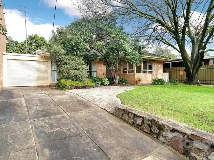 Main view of Homely house listing, 638 Magill Road, Magill SA 5072