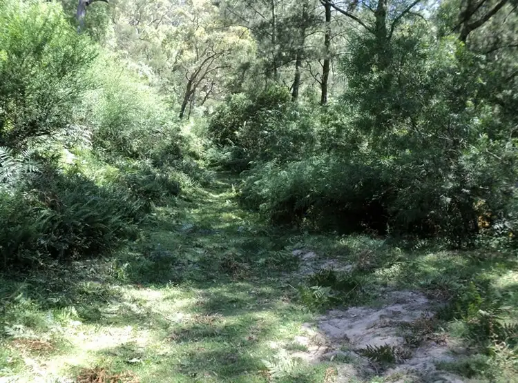 Fourth view of Homely house listing, 541 Hawks Head Road, Brogo NSW 2550