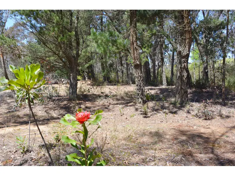 Main view of Homely land listing, 49 Hill View Road, Katoomba NSW 2780