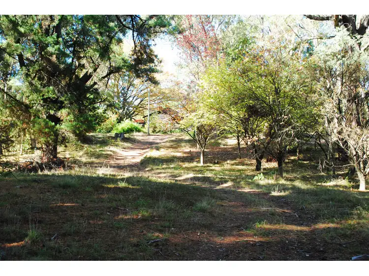 Fourth view of Homely rural property listing, 'Halali' 9 McLean Lane, Orange NSW 2800