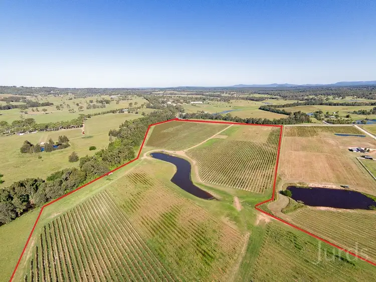 Main view of Homely rural property listing, 352 Wilderness Road, Lovedale NSW 2325