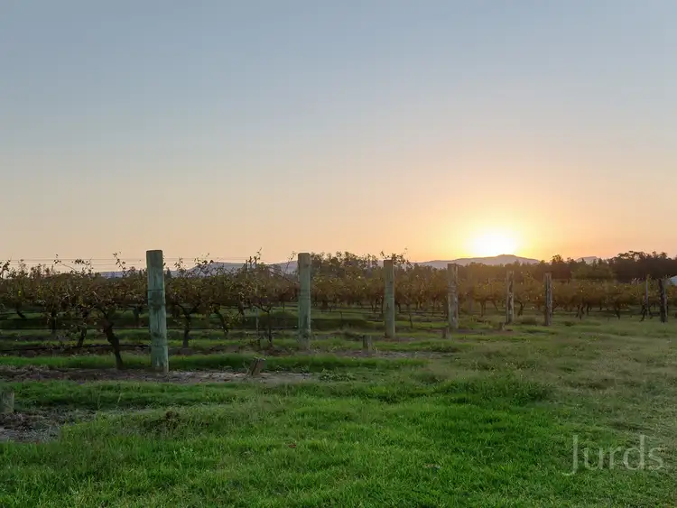 Third view of Homely rural property listing, 352 Wilderness Road, Lovedale NSW 2325