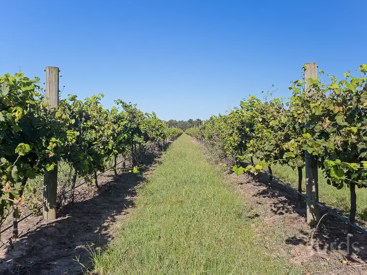Fourth view of Homely rural property listing, 352 Wilderness Road, Lovedale NSW 2325