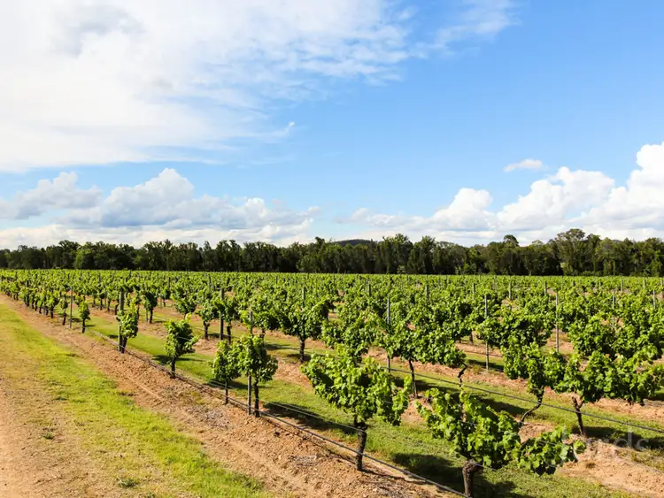 Fifth view of Homely rural property listing, 352 Wilderness Road, Lovedale NSW 2325