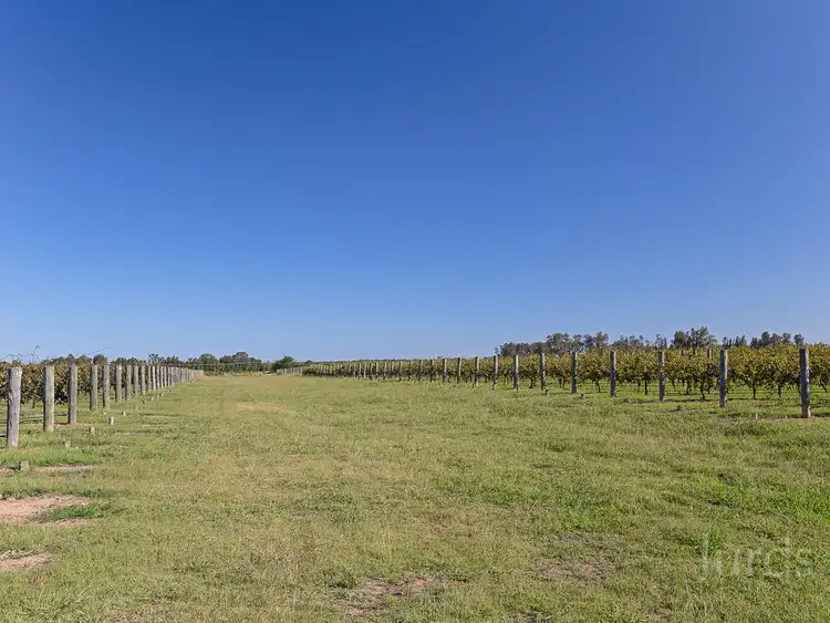 Sixth view of Homely rural property listing, 352 Wilderness Road, Lovedale NSW 2325