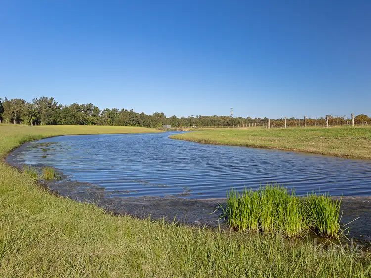 Seventh view of Homely rural property listing, 352 Wilderness Road, Lovedale NSW 2325