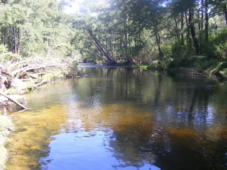 Second view of Homely house listing, 12680 Princes Highway, Brogo NSW 2550