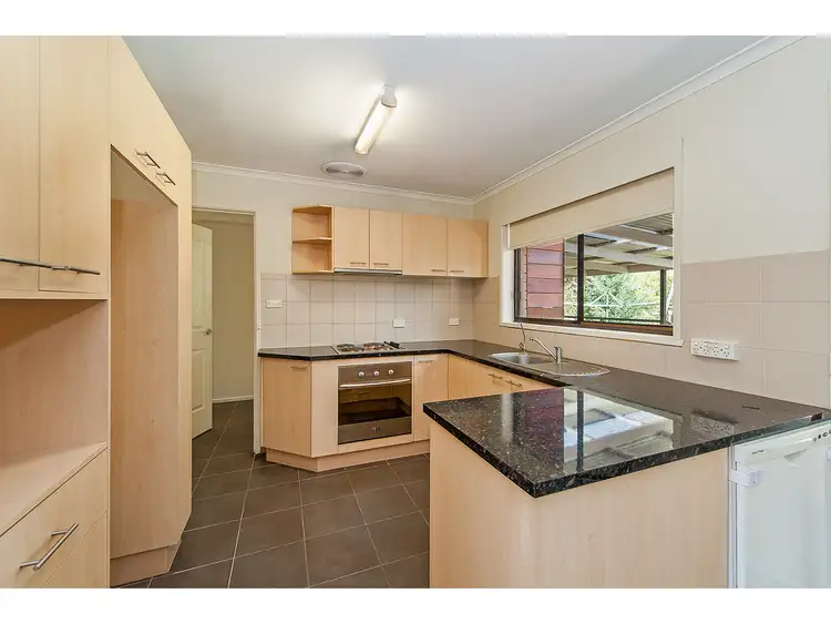 Third view of Homely house listing, 11 Lacebark Court, Thurgoona NSW 2640