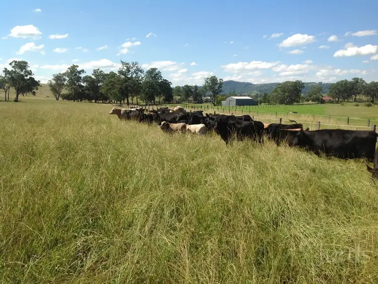 194 Clements Road, East Gresford NSW 2311