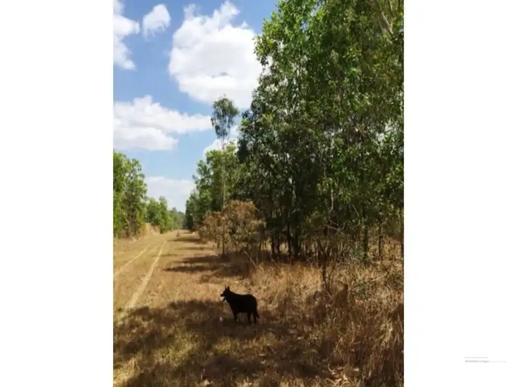 Main view of Homely rural property listing, 125 Metcalfe Road, Humpty Doo NT 836