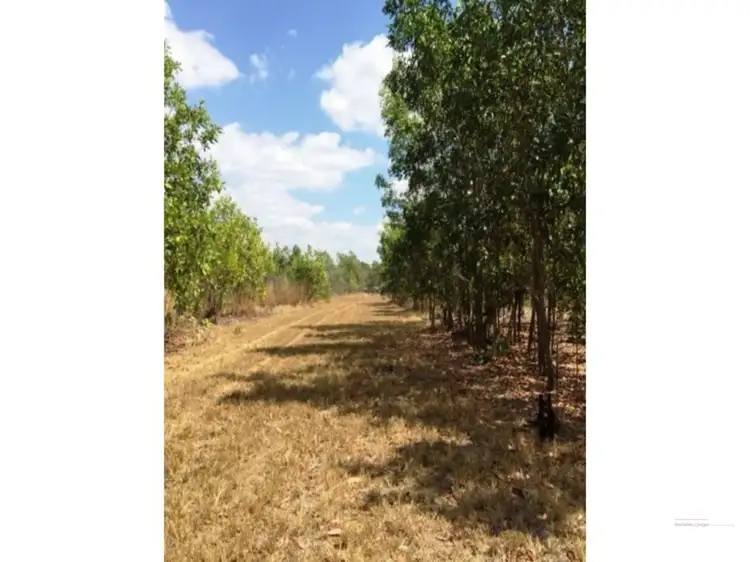 Third view of Homely rural property listing, 125 Metcalfe Road, Humpty Doo NT 836