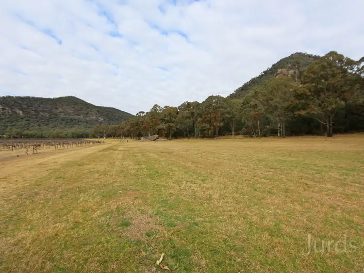 Fifth view of Homely rural property listing, Lot 36 Milbrodale Road, Broke NSW 2330