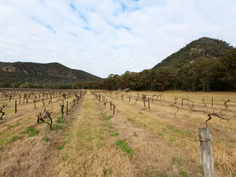 Sixth view of Homely rural property listing, Lot 36 Milbrodale Road, Broke NSW 2330