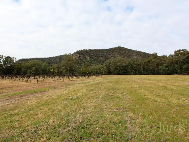 Seventh view of Homely rural property listing, Lot 36 Milbrodale Road, Broke NSW 2330