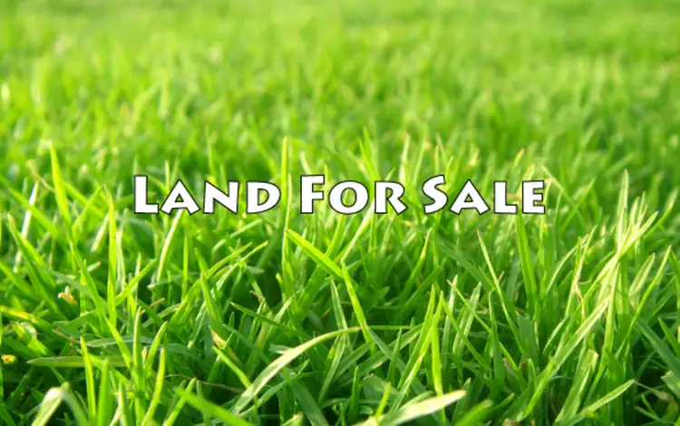 Main view of Homely land listing, 31A Walsh Street, Broadmeadows VIC 3047