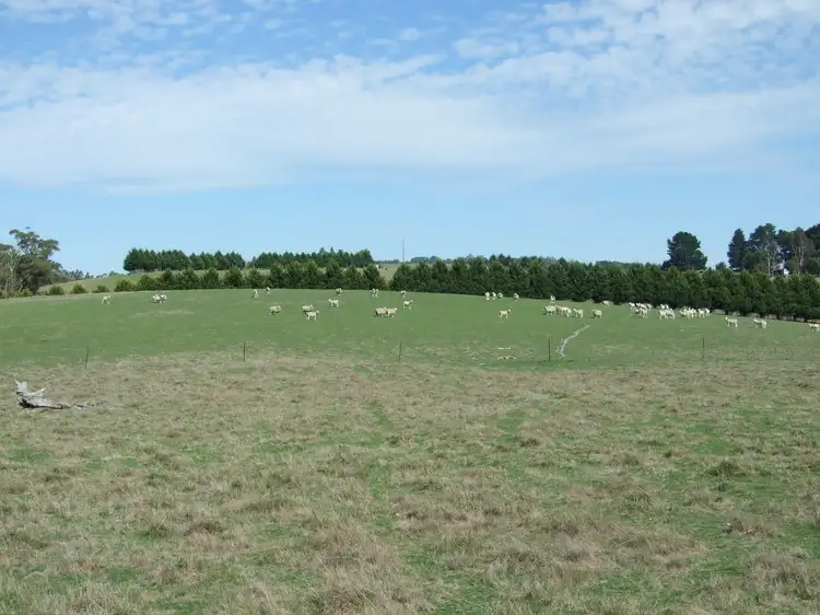 Main view of Homely land listing, LOT 2 McGraths Track, Hernes Oak VIC 3825