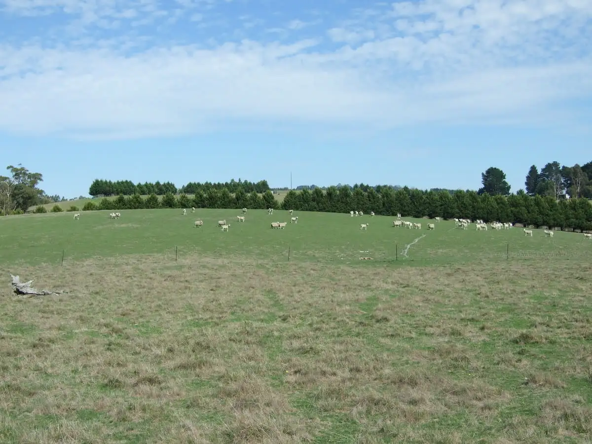 Main view of Homely land listing, LOT 2 McGraths Track, Hernes Oak VIC 3825
