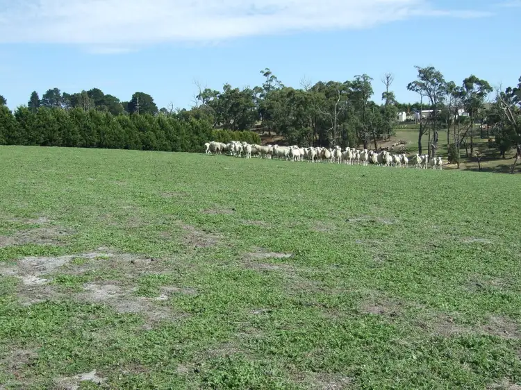 Third view of Homely land listing, LOT 2 McGraths Track, Hernes Oak VIC 3825