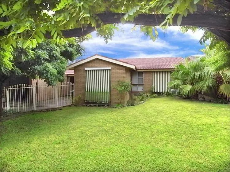 Main view of Homely house listing, 24 Acacia Drive, Muswellbrook NSW 2333