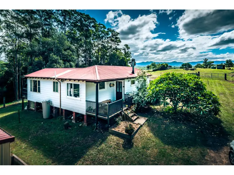 98 sunny corner Road, Bellingen NSW 2454