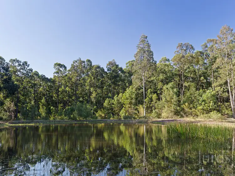 Fourth view of Homely rural property listing, 197 Londons Road, Lovedale NSW 2325