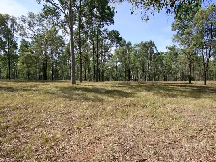 Third view of Homely rural property listing, 653A Hermitage Road, Pokolbin NSW 2320