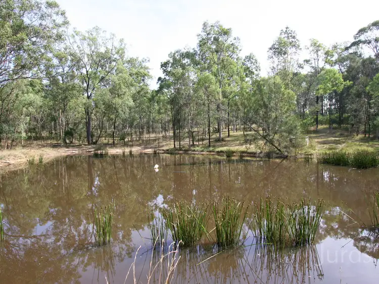 Fourth view of Homely rural property listing, 653A Hermitage Road, Pokolbin NSW 2320