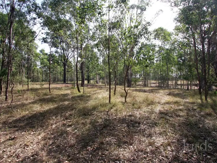 Sixth view of Homely rural property listing, 653A Hermitage Road, Pokolbin NSW 2320