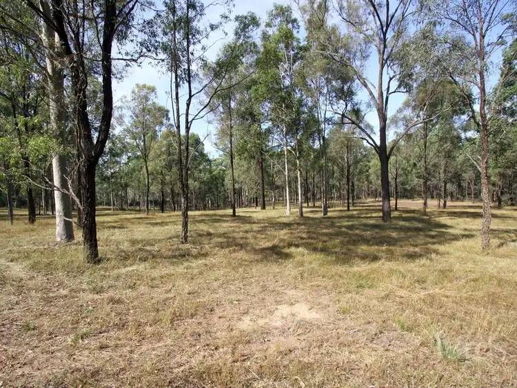 Seventh view of Homely rural property listing, 653A Hermitage Road, Pokolbin NSW 2320