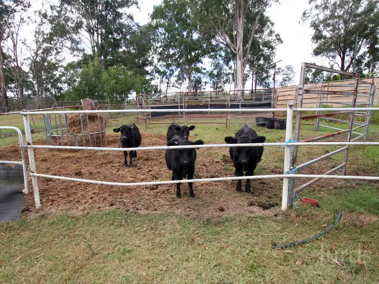 Seventh view of Homely rural property listing, 346 Congewai Road, Congewai NSW 2325
