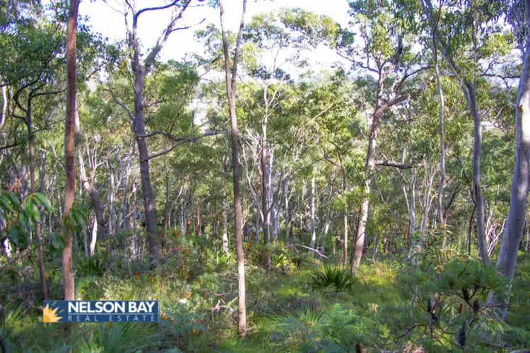 Fifth view of Homely land listing, 34 Tingara Road, Nelson Bay NSW 2315