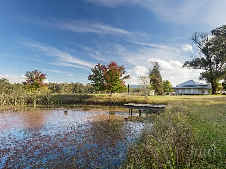Main view of Homely rural property listing, 282 Quorrobolong Road, Quorrobolong NSW 2325