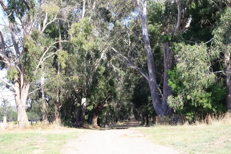 Fifth view of Homely rural property listing, 385 Wilsons Road, Barongarook VIC 3249