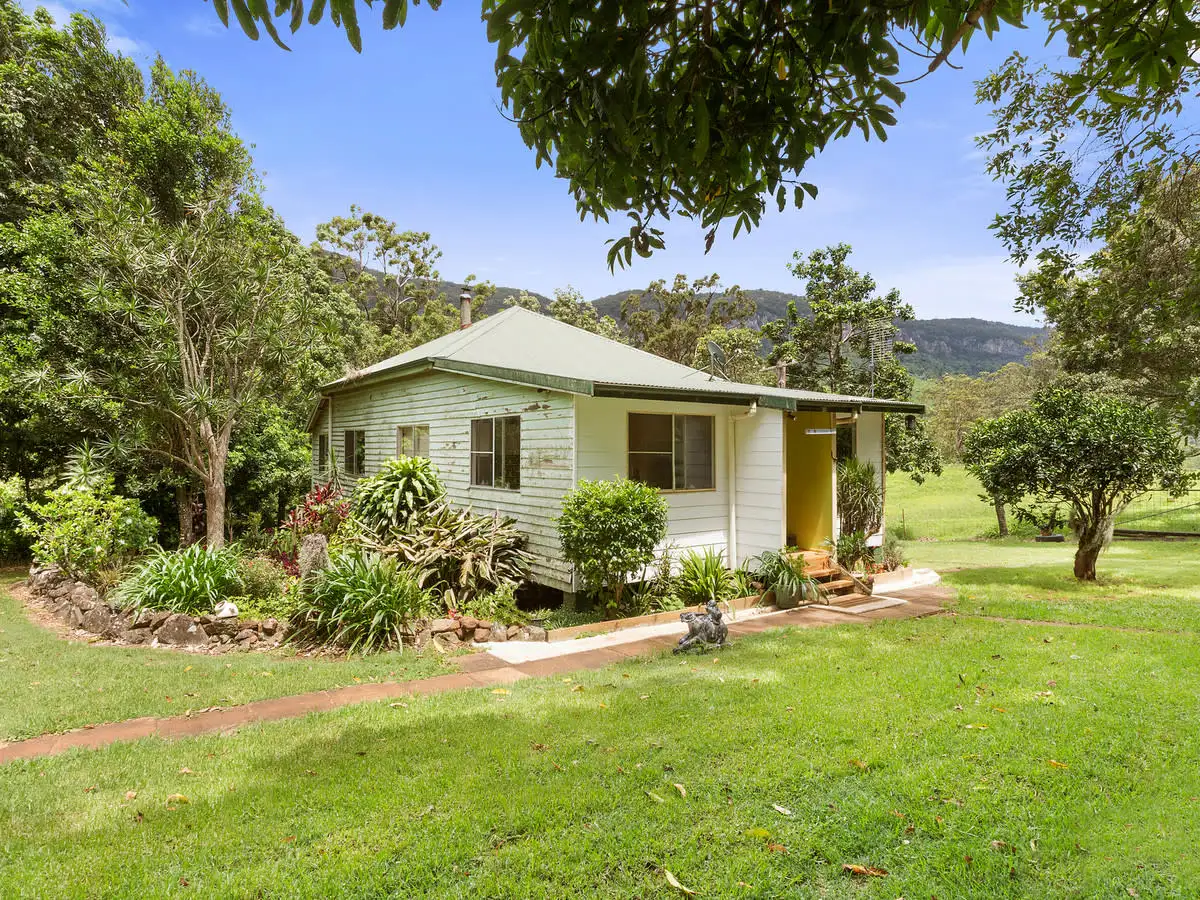 Main view of Homely house listing, 3135 Nerang-Murwillumbah Road, Natural Bridge QLD 4211
