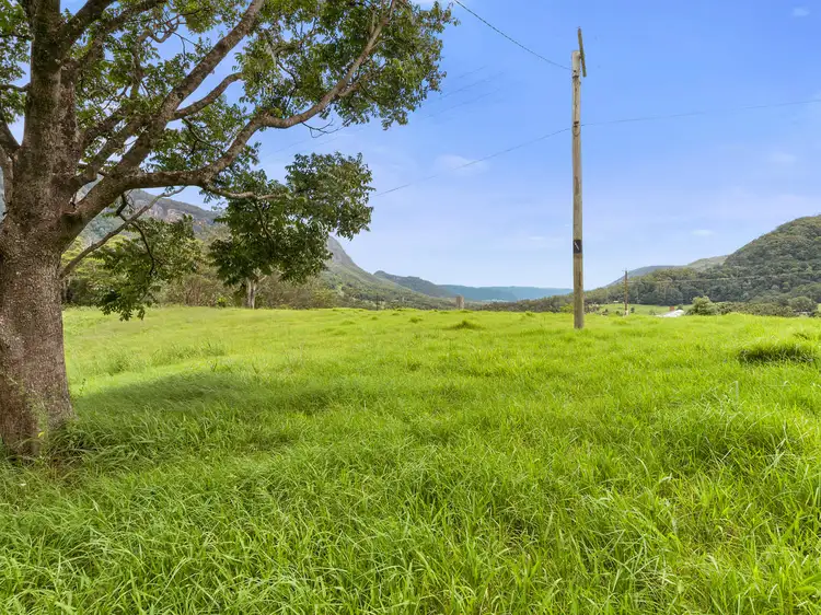 Fifth view of Homely house listing, 3135 Nerang-Murwillumbah Road, Natural Bridge QLD 4211