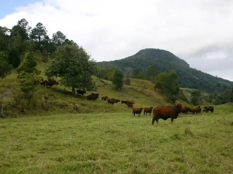 Second view of Homely land listing, 3138 Nerang Murwillumbah Road, Natural Bridge QLD 4211