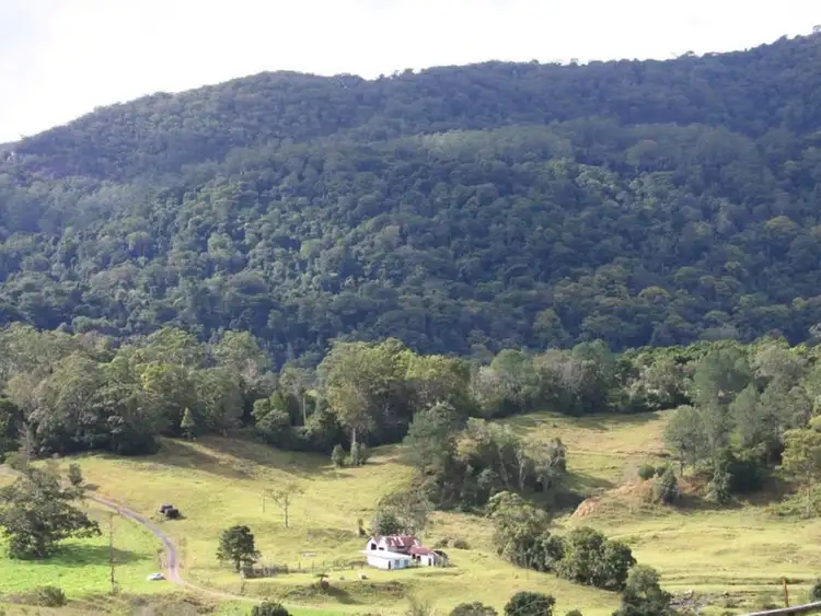 Third view of Homely land listing, 3138 Nerang Murwillumbah Road, Natural Bridge QLD 4211