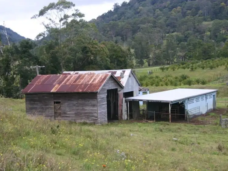 Fifth view of Homely land listing, 3138 Nerang Murwillumbah Road, Natural Bridge QLD 4211