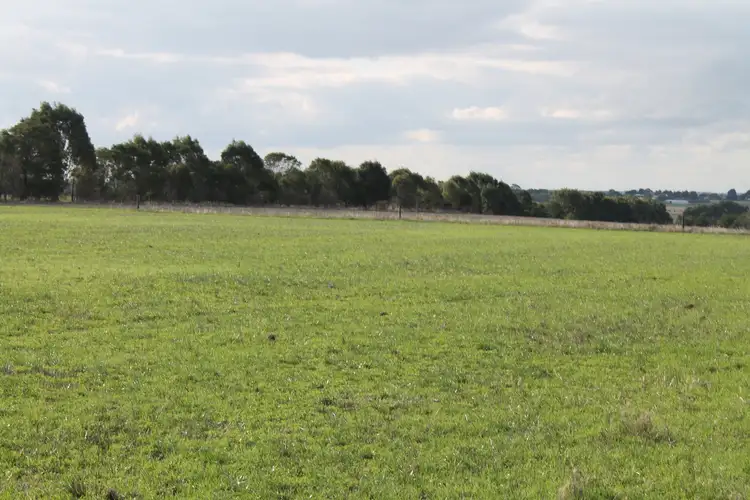 Third view of Homely rural property listing, 1105 Princes Highway, Larpent VIC 3249