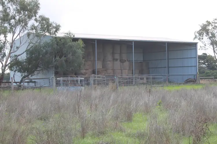 Fourth view of Homely rural property listing, 1105 Princes Highway, Larpent VIC 3249