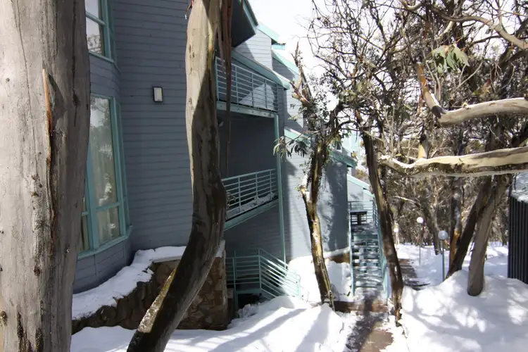Main view of Homely apartment listing, 8/14 Chamois Road, Mount Buller VIC 3723