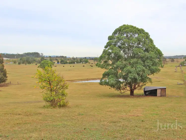 Fourth view of Homely rural property listing, 16 Wentworth Close, Branxton NSW 2335