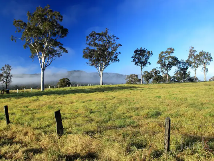 Third view of Homely rural property listing, 2, LOT 2 Fotheringay Road, Clarence Town NSW 2321