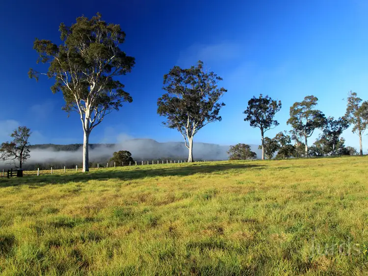 Fifth view of Homely rural property listing, 2, LOT 2 Fotheringay Road, Clarence Town NSW 2321