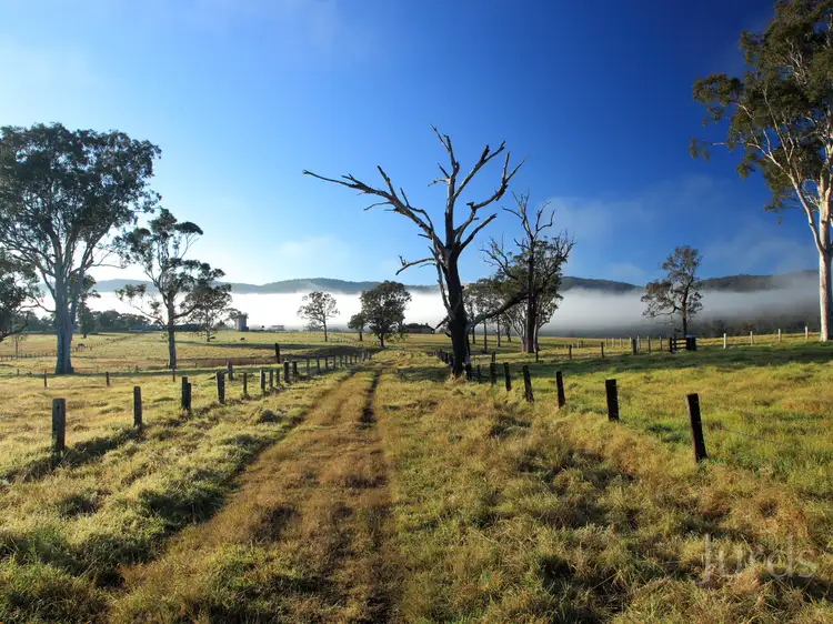 Seventh view of Homely rural property listing, 2, LOT 2 Fotheringay Road, Clarence Town NSW 2321