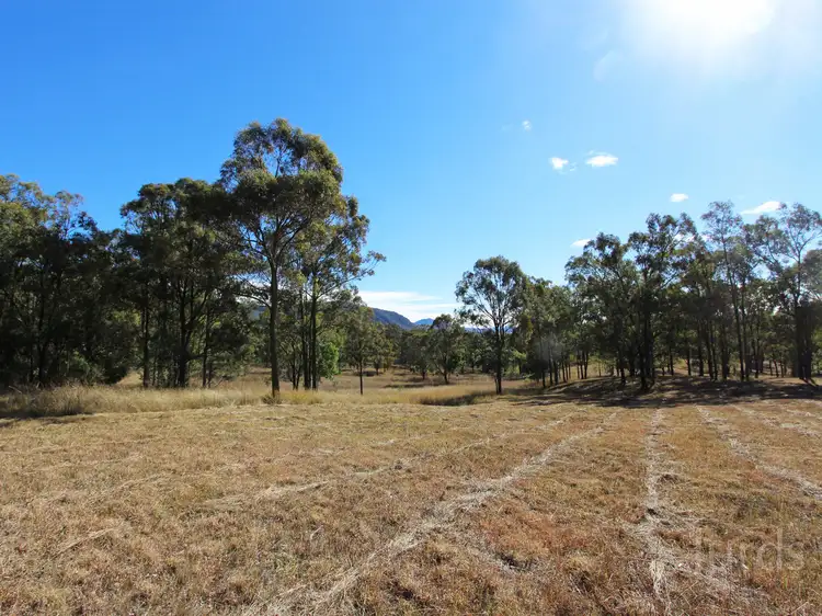 101, LOT 101 Milbrodale Road, Broke NSW 2330